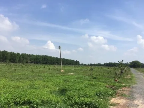 Cụ ông gần 20 năm ‘gánh' đơn đòi đất ở Đồng Nai: Chính quyền cần đối thoại với dân